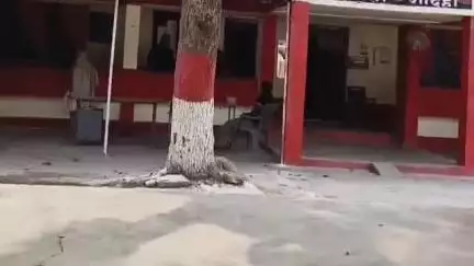 मौदहा: मौदहा में मोमोज विक्रेता पर भाई को जबरन ले जाने के लिए मारपीट करने की शिकायत