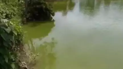 করিমগঞ্জ: দরগারবন্দে বড়গোলের রাস্তার পাশে থাকা এক ফিশারি থেকে মৃতদেহ উদ্ধার