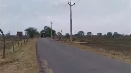 मोठ: समथर में वन विभाग की टीम ने लकड़ी से भरे 2 ट्रैक्टर किए पकड़े