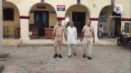 गुन्नौर: गांव फैजपुर से रजपुरा थाना पुलिस ने फरार वारंटी अभियुक्त को गिरफ्तार कर न्यायालय में किया पेश