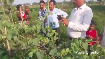 सोनारायठाढ़ी: सूरजमुखी व परवल की खेती को मिलेगा बढ़ावा, पिपरना गांव का बीडीओ और बीएओ ने किया निरीक्षण, मिठाई का प्रशिक्षण