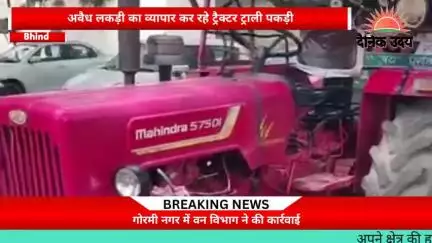 गोरमी में अवैध लकड़ी कि विक्री कर रहे ट्रेक्टर ट्राली जप्त