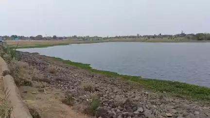 পুরুলিয়া ২: অতি বর্ষণে প্রচুর রুই, মৃগেল, বোয়াল মাছ ভেসে উঠলো কুস্টুকা ডেমের দুপাশে, পরিদর্শনে ব্লকের সহ কৃষি অধিকর্তা