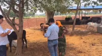 सगड़ी: अजमतगढ़ के खंड विकास अधिकारी ने पारनकुंडा सहित अन्य गौशालाओं का किया औचक निरीक्षण, दिए आवश्यक दिशा-निर्देश
