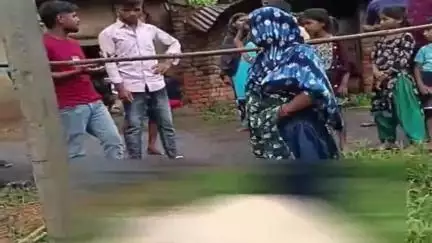 जमुआ: चितरडीह पंचायत के खरिकवाटांड गांव में करंट लगने से बैल की मौत, गरीब किसान ने मुआवजे की गुहार लगाई