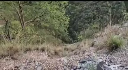 पौड़ी: पौड़ी देवप्रयाग मोटर मार्ग पर पयालगाँव के पास दर्दनाक हादसा, कार खाई में गिरने से दो लोगों की मौके पर मौत