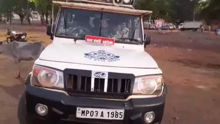 बहोरीबंद: ग्राम सिजहनी में खेत में मिला किसान का शव, परिजनों ने लगाया हत्या का आरोप