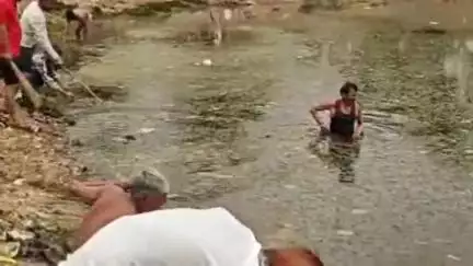 शाहबाद: कस्बाथाना में वंदे गंगा जल संरक्षण अभियान के तहत तलाई सफाई की गई, पौधारोपण भी किया गया