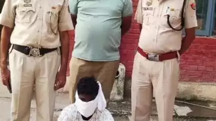 बरवाला: सेक्टर-1 में गांजा तस्करी में युवक गिरफ्तार, 1 किलो 556 ग्राम गांजा बरामद