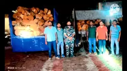बरही: बरही के बुंडू, बेलहरा और गुड़ियों वन क्षेत्र से खैर की लकड़ी ज़ब्त