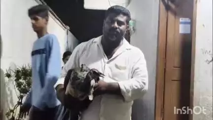 కరీంనగర్: మల్కాపూర్ గ్రామంలో ప్రమాదవశాత్తు విద్యుత్ తీగలకు తగిలి పడిపోయిన నెమలి పోలీసులకు అప్పగించిన గ్రామస్తులు