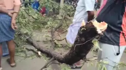 பாப்பிரெட்டிபட்டி: பாப்பிரெட்டிபட்டி சாலையில் புளிய மர கிளை முறிந்து விழுந்து சிகிச்சை பலனின்றி மூதாட்டி உயிரிழப்பு, ஒருவர் படுகாயம்,