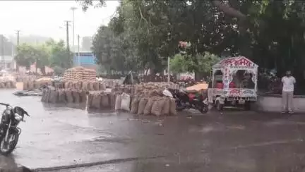 पचपहाड़: भवानीमंडी में हुई झमाझम बारिश से गर्मी से मिली राहत, किसानों ने खरीफ की तैयारी शुरू की