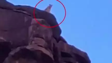 रायसेन: दीवानगंज के सागोनी मोहल्ले में पहाड़ पर दिखा तेंदुआ, ग्रामीणों में दहशत, वीडियो वायरल