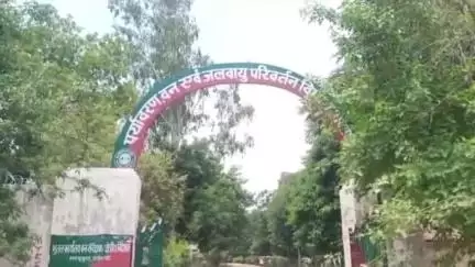 ऑपरेशन सिंदूर से हरियाली में लिपटेगा अयोध्या का जंगल, 38 लाख पौधे लगाने का अभियान शुरू #OperationSindoor