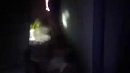 राहुरी: वळण सोसायटीच्या नविन गाळ्यांमधे आढळला क्रोबा नाग, सर्पमित्राने पकडून सोडला निसर्ग सानिध्यात