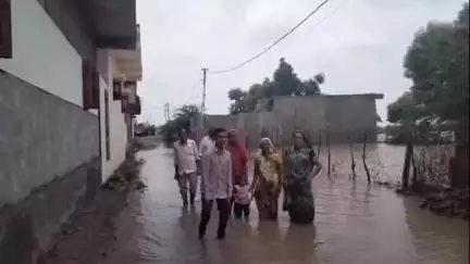 ઉમરાળા: ઉમરાળા તાલુકામા ગઈ કાલે પડેલા 5 ઇંચ વરસાદે જન જીવન ખોરવાયું #jansamasya
