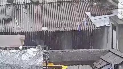 नंदुरबार: शहरात पावसाची जोरदार बॅटिंग, पहिल्याच पावसात शहरातील पातागंगा नदी दुथडी वाहू लागली