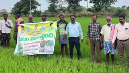 వరి సాగులో నల్లి నివారణకు జాగ్రత్తలు పాటించాలి 
- రైతులకు పలు సూచనలు చేసిన వ్యవసాయ శాఖ ఏడిఏ నాగార్జునసాగర్