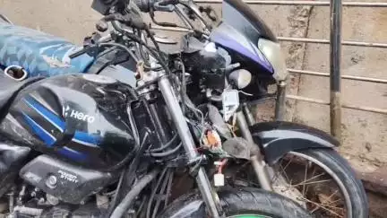 कोटड़ी: कालिरडिया चौराहे के पास बाइक नीलगाय से टकराई, एक की मौत और दो घायल
