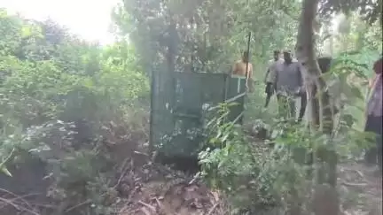 अमरोहा: रजबपुर में आम के बाग में तेंदुए ने किसान के पालतू कुत्ते को बनाया निवाला, ग्रामीणों में दहशत