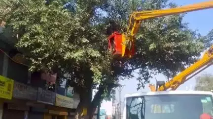सहारनपुर: नगर निगम ने कांवड़ यात्रा की तैयारियों की शुरुआत की, खंभों पर लगाई जा रही हैं गोल्डन कलर की स्ट्रीप लाइट