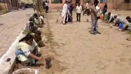 रायसिंहनगर: रायसिंहनगर में वंदे गंगा जल संरक्षण अभियान एवं हरियालो राजस्थान के अंतर्गत विभिन्न पार्कों में पौधारोपण किया गया