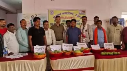 सारठ: सारठ प्रखंड में आम प्रदर्शनी का आयोजन, BDO, सीओ व DSO ने किसानों को बिरसा आम बागवानी से आर्थिक संपन्नता की बात कही