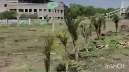 उज्जैन शहर: कोठी रॉड पर गुजरात के संस्कृति वन की तर्ज पर बन रहा महाकाल संस्कृति वन, 30000 पौधे रोपे गए