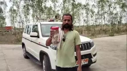 शाहनगर: शाहनगर एसडीएम कार्यालय में घुसा गुहेरा, सर्प मित्र ने किया सफल रेस्क्यू