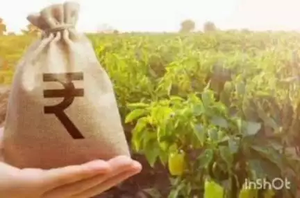 चंद्रपूर: पीक कर्ज वाटपाच्या सुलभतेसाठी नागरी मदत केंद्र ,शेतक-यांनी संपर्क करण्याचे चंद्रपूर तहसीलदारांचे आवाहन