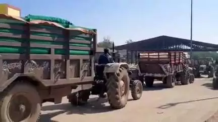 सोहागपुर: सेमरी हरचंद मंडी में बुधवार को मूंग अधिकतम ₹7400 प्रति कुंटल बिकी