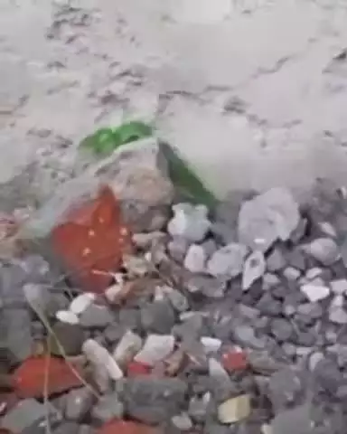करसोग: महोग के श्री चवासी नाग देवता की सरयोलसर यात्रा शुरू, नाग देवता के साक्षात् दर्शन पर चारों तरफ जयकारों की गूंज उठी