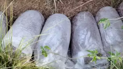 मोहाडी: कारली येथे हातभट्टीच्या दारू अड्ड्यावर गोबरवाही पोलिसांची धाड, २० हजार रुपयांचा मुद्देमाल जप्त