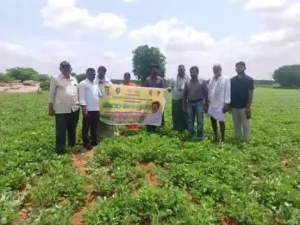 ఉరవకొండ: చిన్న ముష్టూరు, పెద్ద ముష్టూరు గ్రామాల్లో పొలం పిలుస్తోంది కార్యక్రమాన్ని నిర్వహించిన వ్యవసాయ అధికారులు