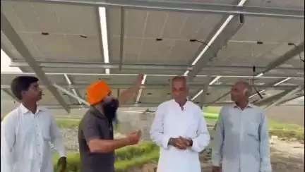ਅਬੋਹਰ: ਇੰਦਰਾ ਨਗਰੀ ਨੇੜੇ ਖੇਤ 'ਚ ਨਵੇਂ ਲਾਏ ਸੋਲਰ ਪੈਨਲ ਵਿੱਚੋਂ ਤਾਰਾਂ ਹੋਈਆਂ ਚੋਰੀ