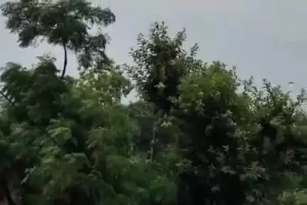 तुलसीपुर: आजमडीह चौराहे पर आकाशीय बिजली गिरने से 9 वर्षीय मासूम बालिका की मौत, दो अन्य बच्चे हुए घायल