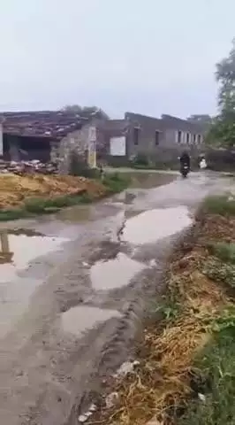 भदेसर: भदेसर के चिकारड़ा गांव में जलभराव और खड्डों से जनजीवन बेहाल, प्रशासन बेखबर