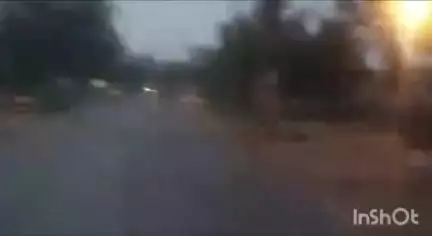प्रतापपुर: ग्राम खड़गंवा एवं झींगापारा में हाथियों का दल कर रहा है विचरण, वन विभाग कर रहा है लोगों को सतर्क