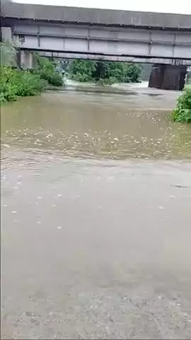 खमारडीह में सड़क पर पानी भर जाने से राजखरसांवां से बड़ाबाम्बो अवागमन बंद है।