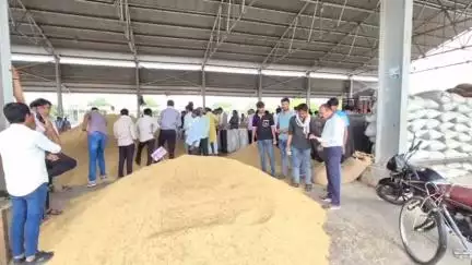 लाडपुरा: ईरान-इजरायल युद्ध का असर हाड़ौती चावल व धान उत्पादकों पर, भाव में भारी गिरावट से किसानों की कमर टूटी