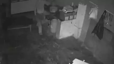 जगाधरी: प्रताप नगर में दुकान का ताला तोड़कर चोर नगदी व सामान ले उड़े, घटना सीसीटीवी में कैद