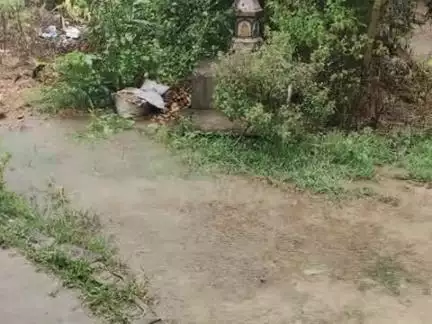 খড়গপুরে আজ, ১৯ জুন ২০২৫, ভারী বৃষ্টির সম্ভাবনা নেই বলে আবহাওয়ার পূর্বাভাসে জানা যাচ্ছে। #kharagpur #weatherupdate