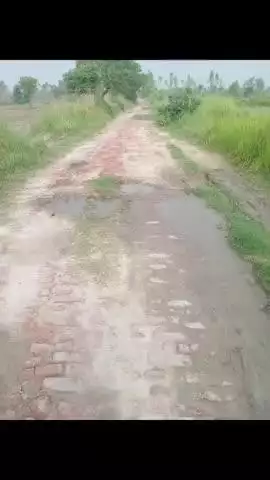 श्रीमाननीय मुख्यमंत्रीजी हमारे गांव ग्राम बरगड़िया खेड़ा पोस्ट लूमामऊ ब्लॉक संडीला जिलाहरदोई हमारे गांव मे डामर रोड नही है