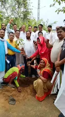 अलवर: मोती डूंगरी स्थित राजीव गांधी पार्क में जिला कांग्रेस कमेटी ने राहुल गांधी के जन्म दिवस पर किया पौधारोपण