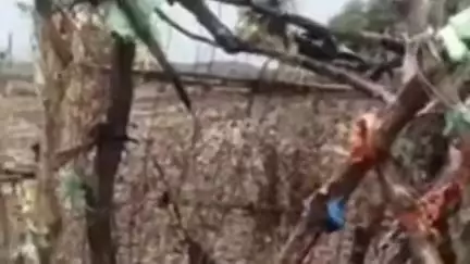 मोहन बड़ोदिया: पत्नी की दूसरी शादी से नाराज़ पहले पति ने ग्राम चन्दोनी में भूसे के ढेर और टापरी में लगाई आग, पुलिस ने दर्ज की FIR
