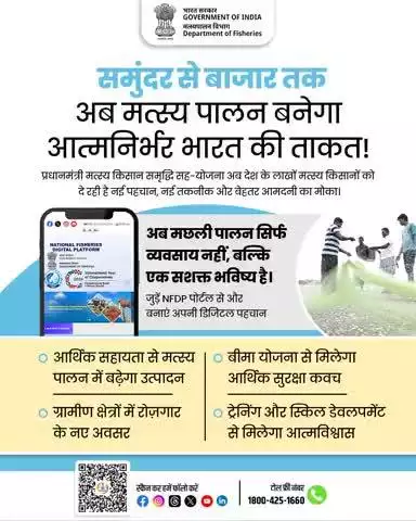 समुद्र से बाजार तक अब मछली पालन बनेगा आत्मनिर्भर भारत की ताकत। 
प्रधानमंत्री मत्स्य किसान समृद्धि सह-योजना के तहत, मछली पालन को मिल रही है नई पहचान, तकनीक और रोज़गार के नए अवसर।