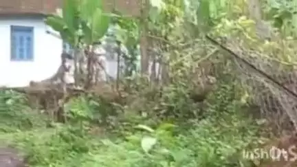 കോന്നി: കോന്നി കല്ലേലി ജി.ജെ.എം.യു.പി സ്കൂൾ പരിസരത്ത് കാട്ടാന ഇറങ്ങി