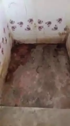 garu awashiya vidyalaya me 2 warsho se shouchalay kharab ho Gaya hai bacchon ko Hui pareshani