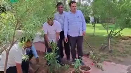 झुंझुनू: वंदे गंगा जल संरक्षण जन अभियान के तहत जिला कलेक्टर ने अपने निवास पर मां के नाम पर एक पेड़ लगाया
